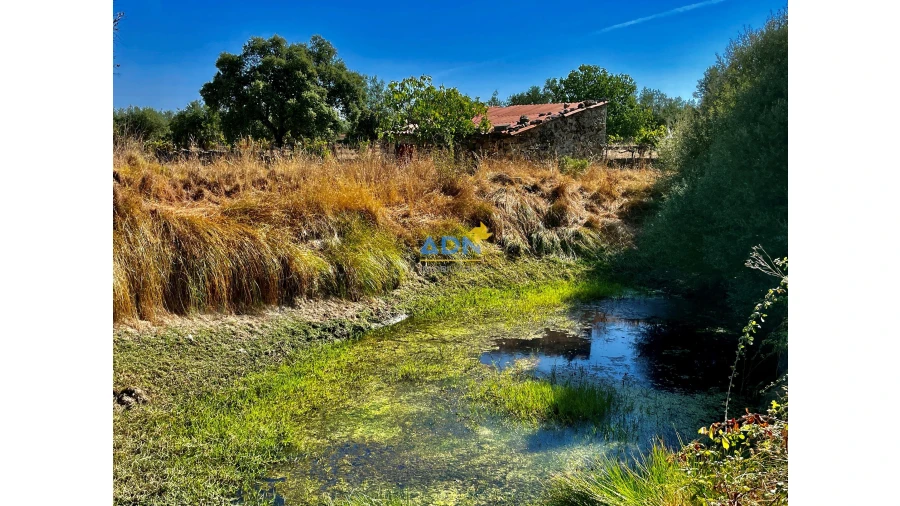 Quinta para Venda em Castelo Branco Foto 4