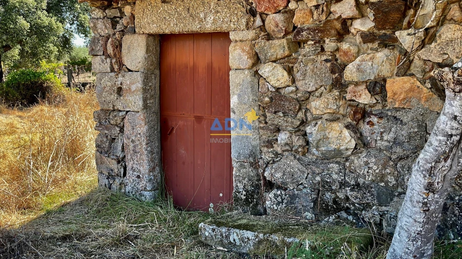 Quinta para Venda em Castelo Branco Foto 10