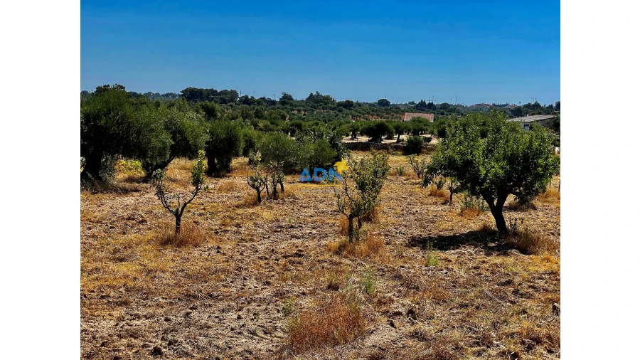 Quinta para Venda em Castelo Branco Foto 6