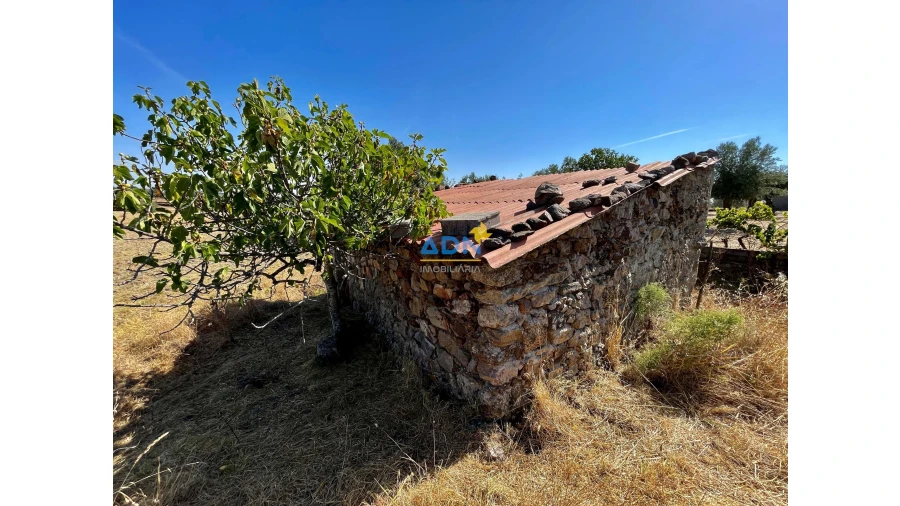 Quinta para Venda em Castelo Branco Foto 11