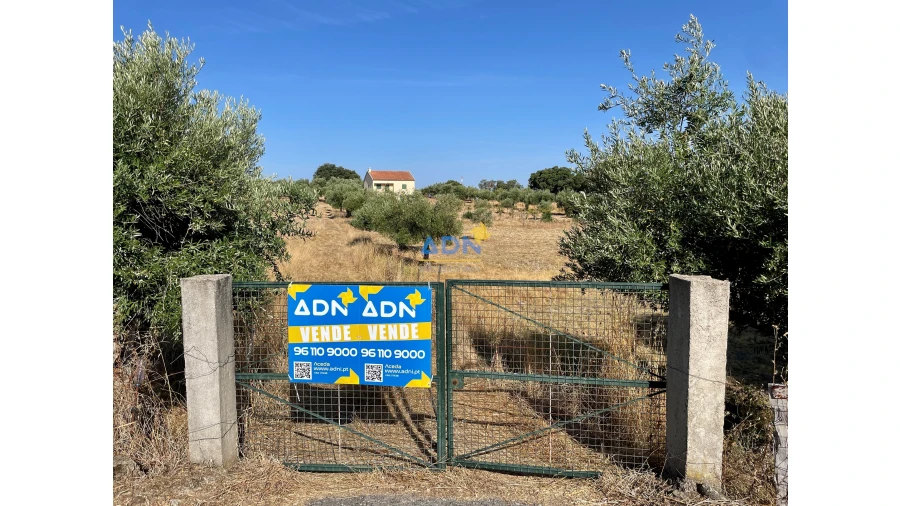Quinta para Venda em Castelo Branco
