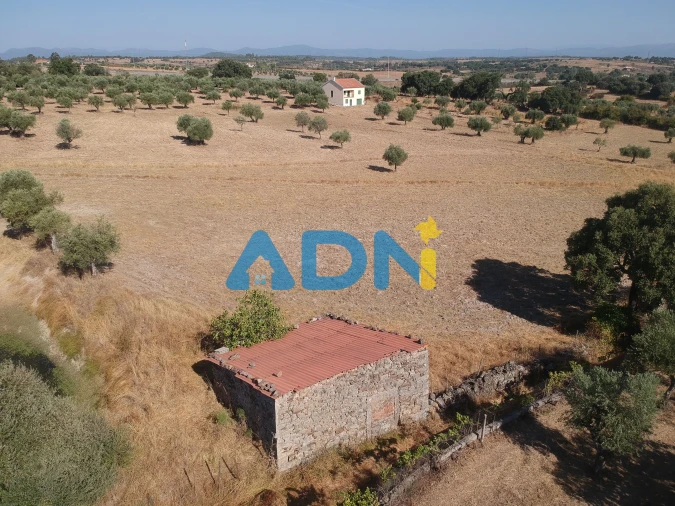 Quinta para Venda em Castelo Branco Foto 12