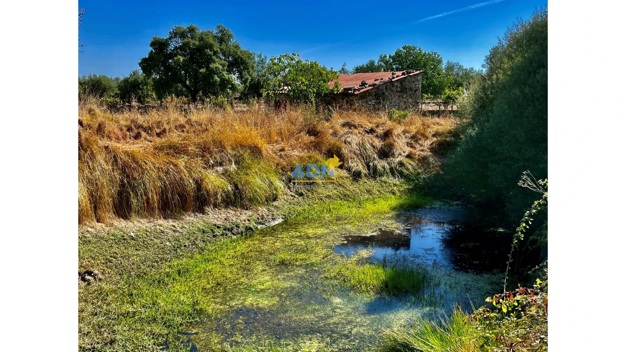 Quinta para Venda em Castelo Branco Foto 4
