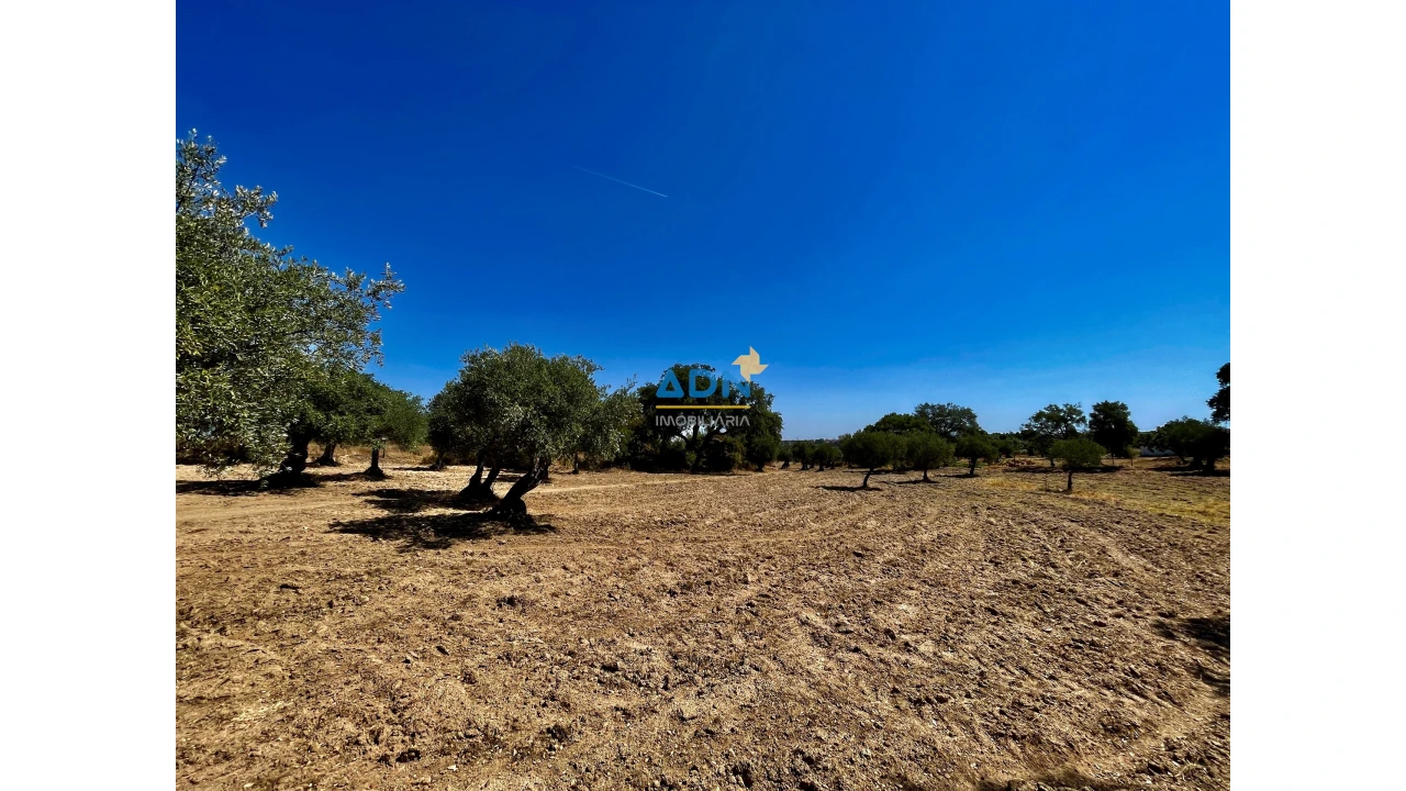 Quinta para Venda em Castelo Branco Foto 8
