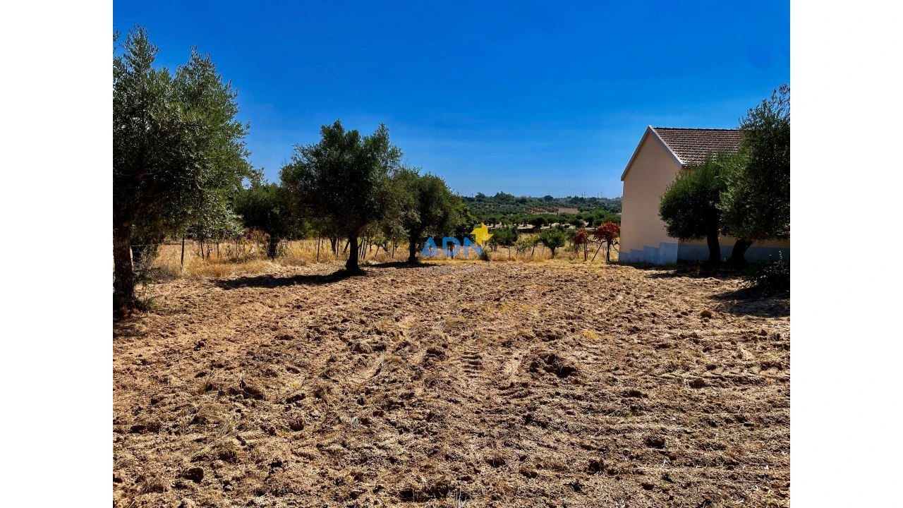 Quinta para Venda em Castelo Branco Foto 25