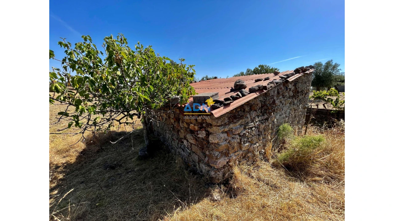 Quinta para Venda em Castelo Branco Foto 11
