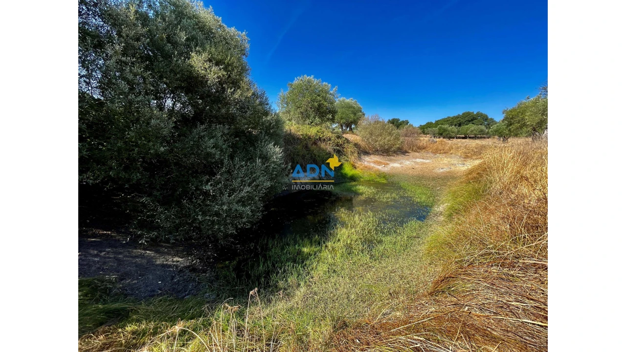 Quinta para Venda em Castelo Branco Foto 14