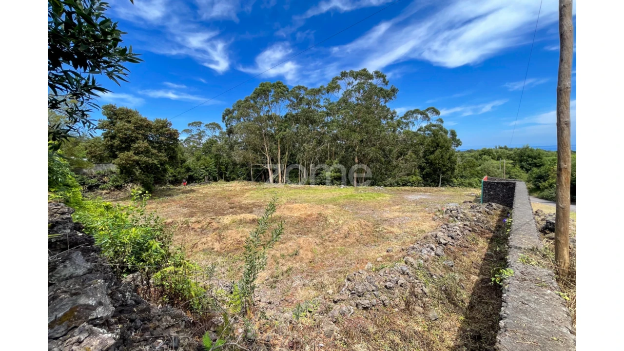 Terreno para Venda em Fenais da Luz Foto 9