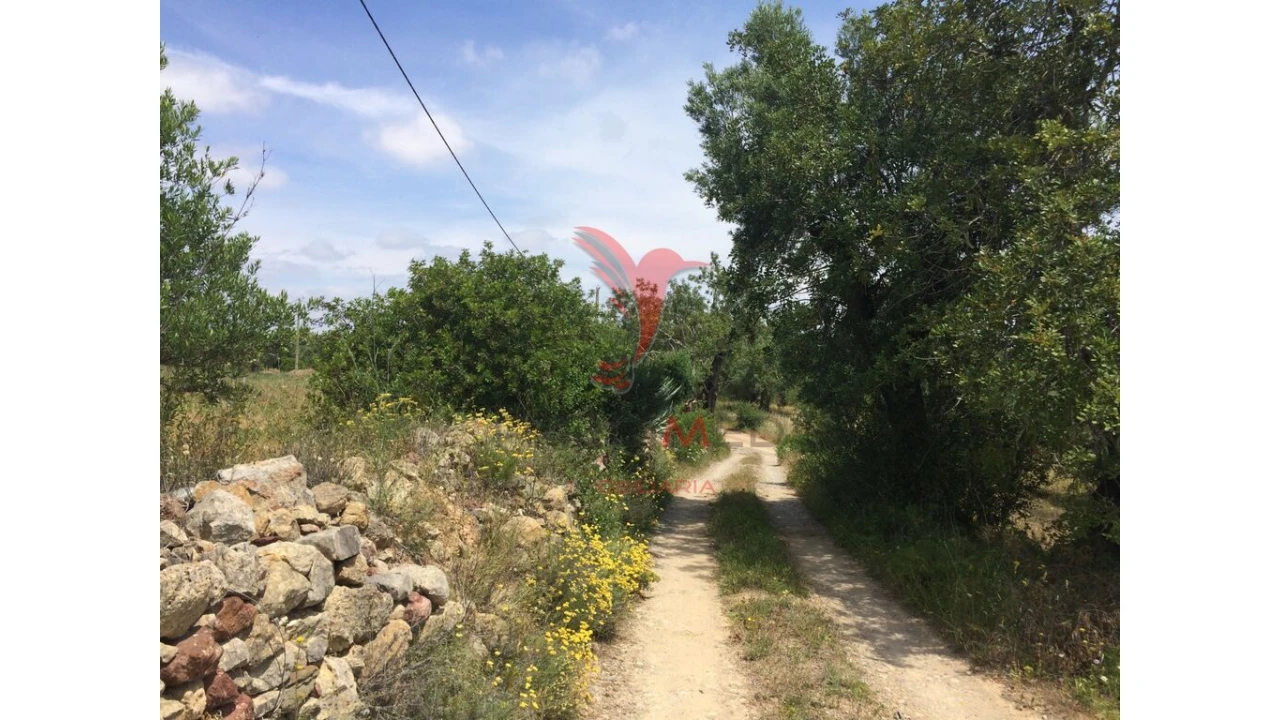 Terreno para Venda em Conceição e Cabanas de Tavira Foto 18