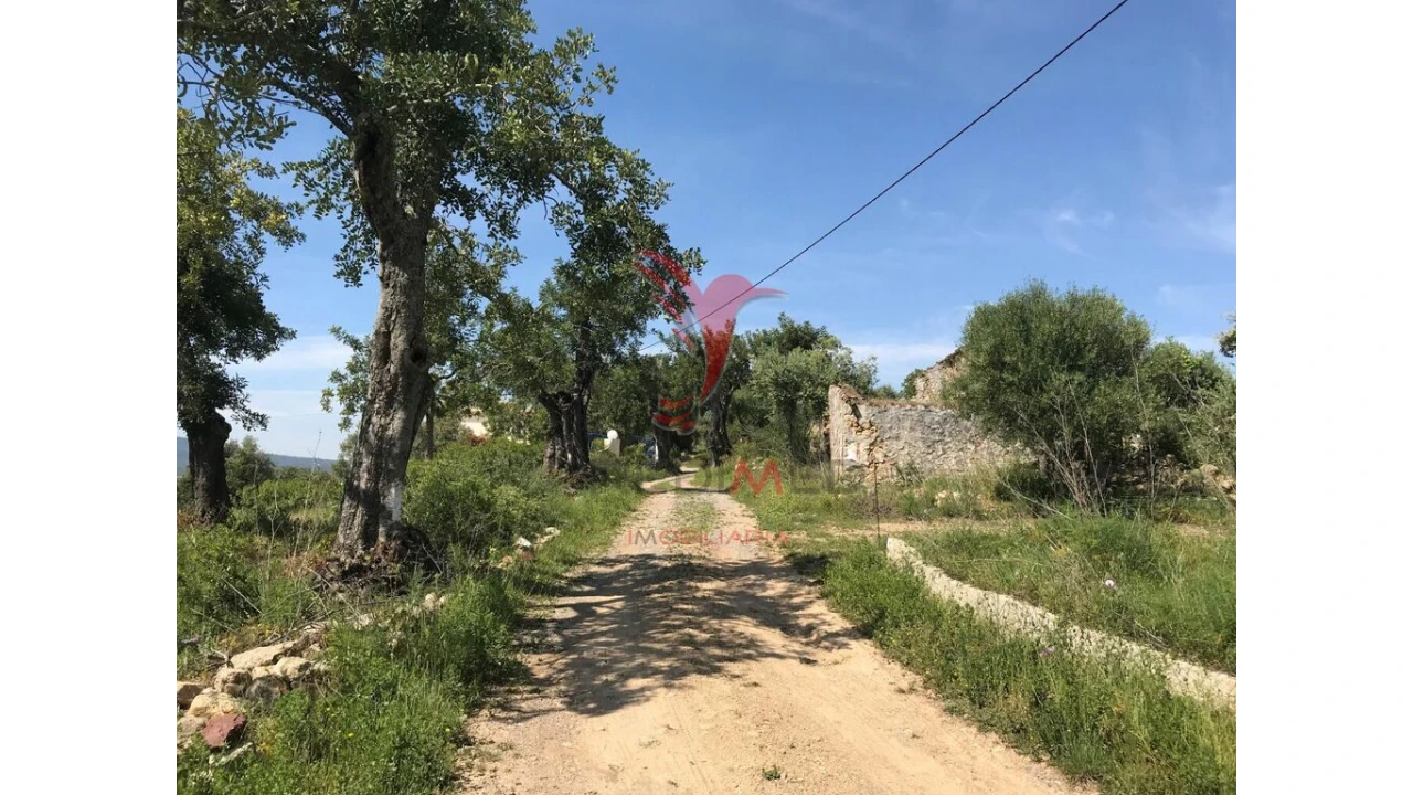 Terreno para Venda em Conceição e Cabanas de Tavira Foto 15