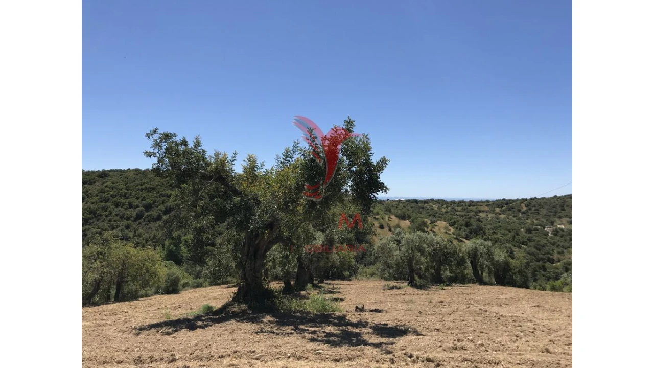 Terreno para Venda em Conceição e Cabanas de Tavira Foto 10