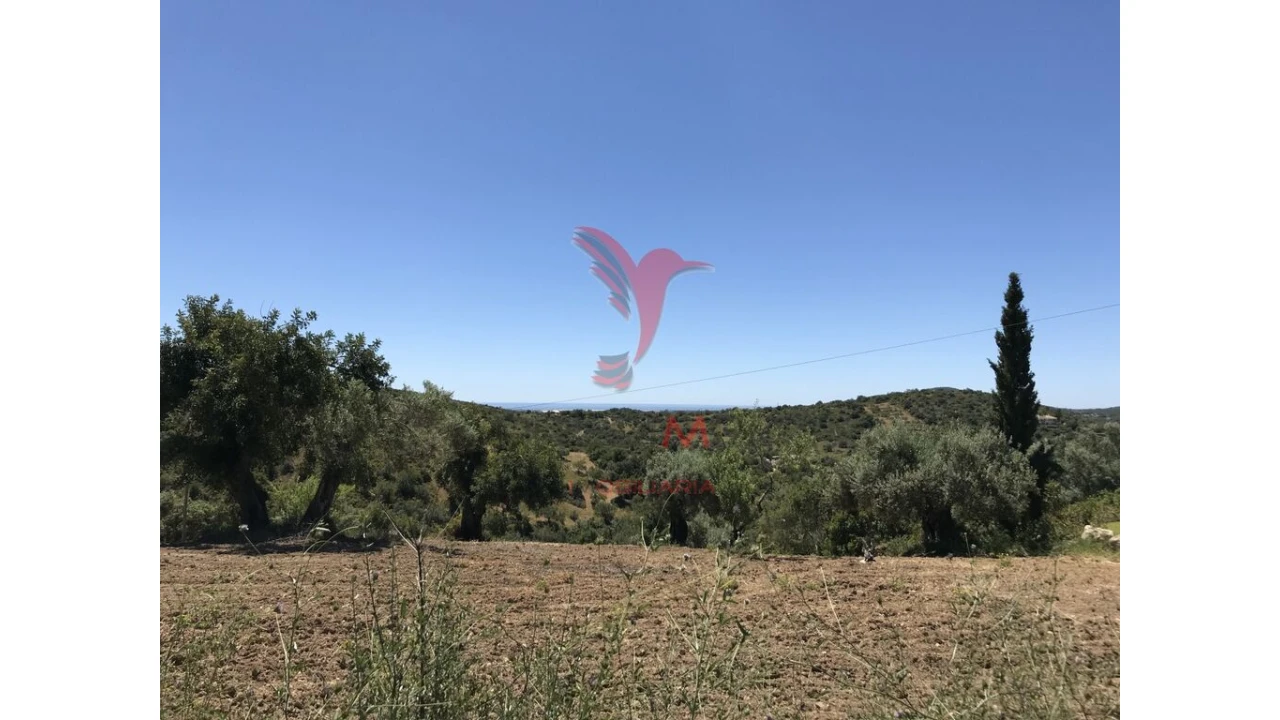 Terreno para Venda em Conceição e Cabanas de Tavira Foto 12