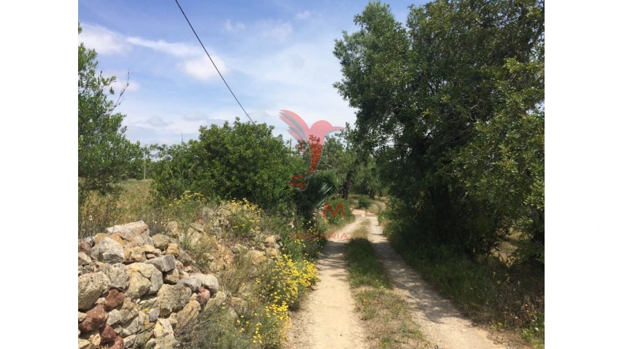Terreno para Venda em Conceição e Cabanas de Tavira Foto 18