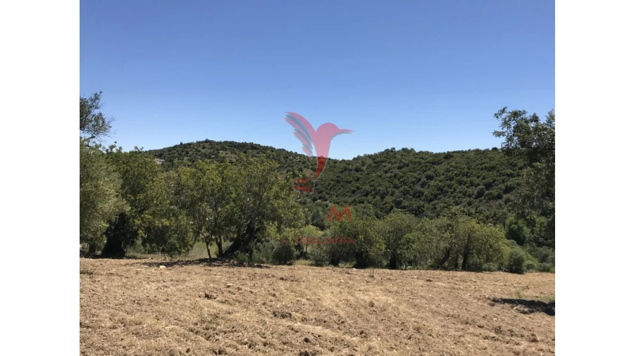 Terreno para Venda em Conceição e Cabanas de Tavira Foto 17