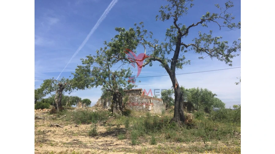 Terreno para Venda em Conceição e Cabanas de Tavira Foto 11