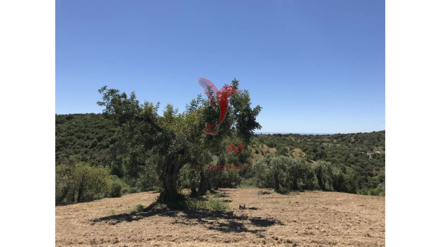 Terreno para Venda em Conceição e Cabanas de Tavira Foto 10