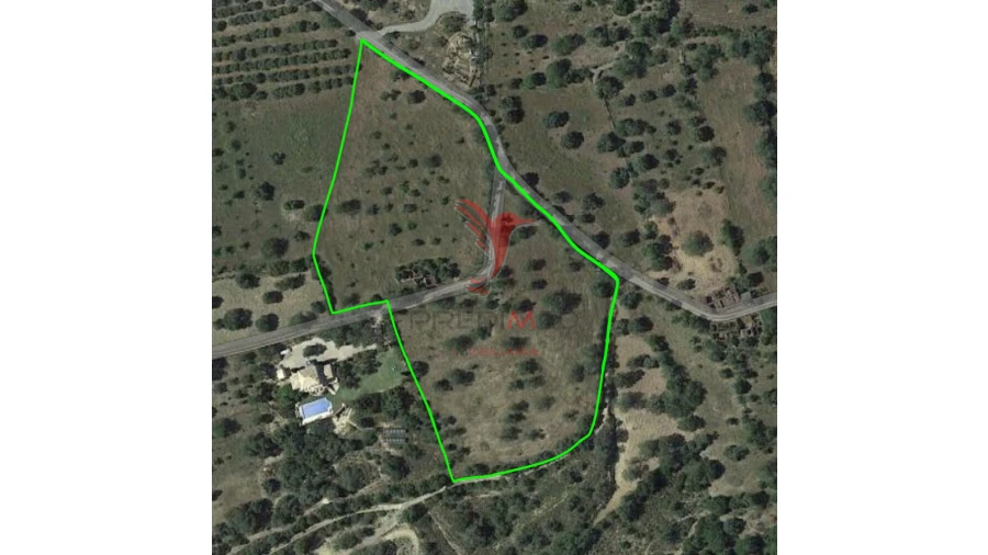 Terreno para Venda em Conceição e Cabanas de Tavira Foto 9