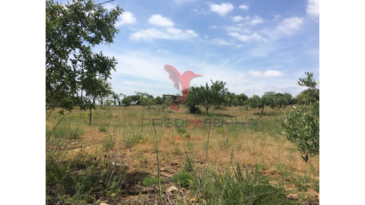 Terreno para Venda em Conceição e Cabanas de Tavira Foto 13