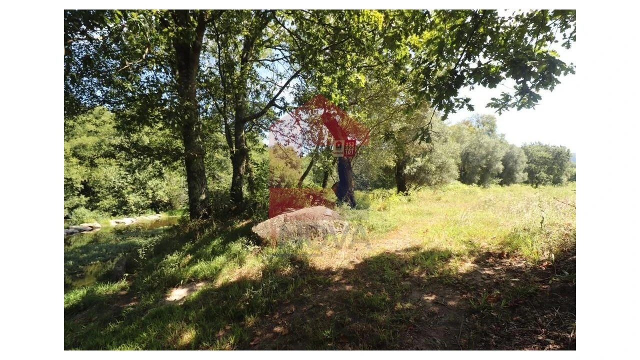 Terreno para Venda em Fiscal Foto 2