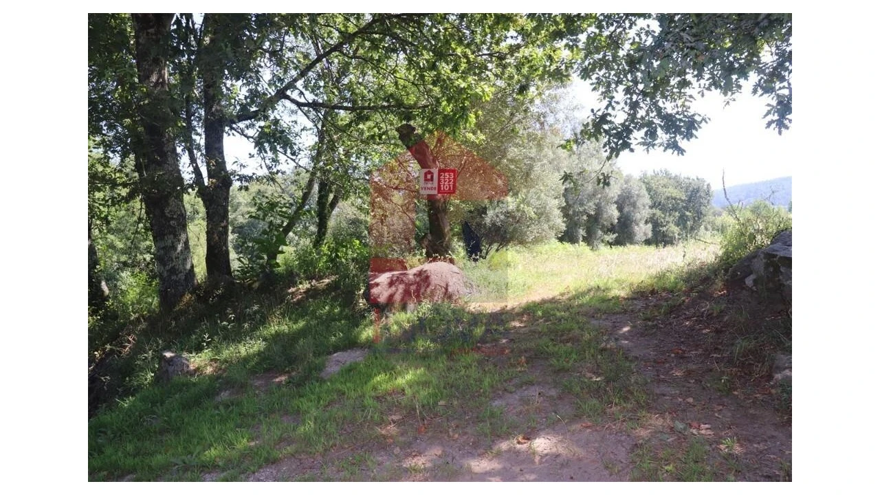 Terreno para Venda em Fiscal Foto 29