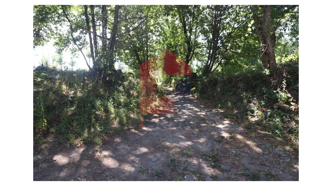 Terreno para Venda em Fiscal Foto 32