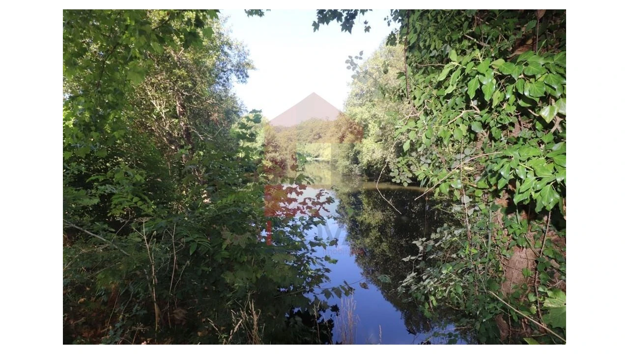 Terreno para Venda em Fiscal Foto 13