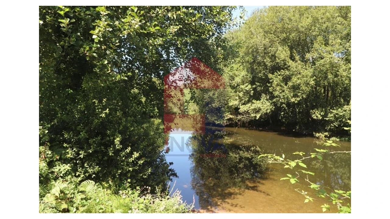 Terreno para Venda em Fiscal Foto 10