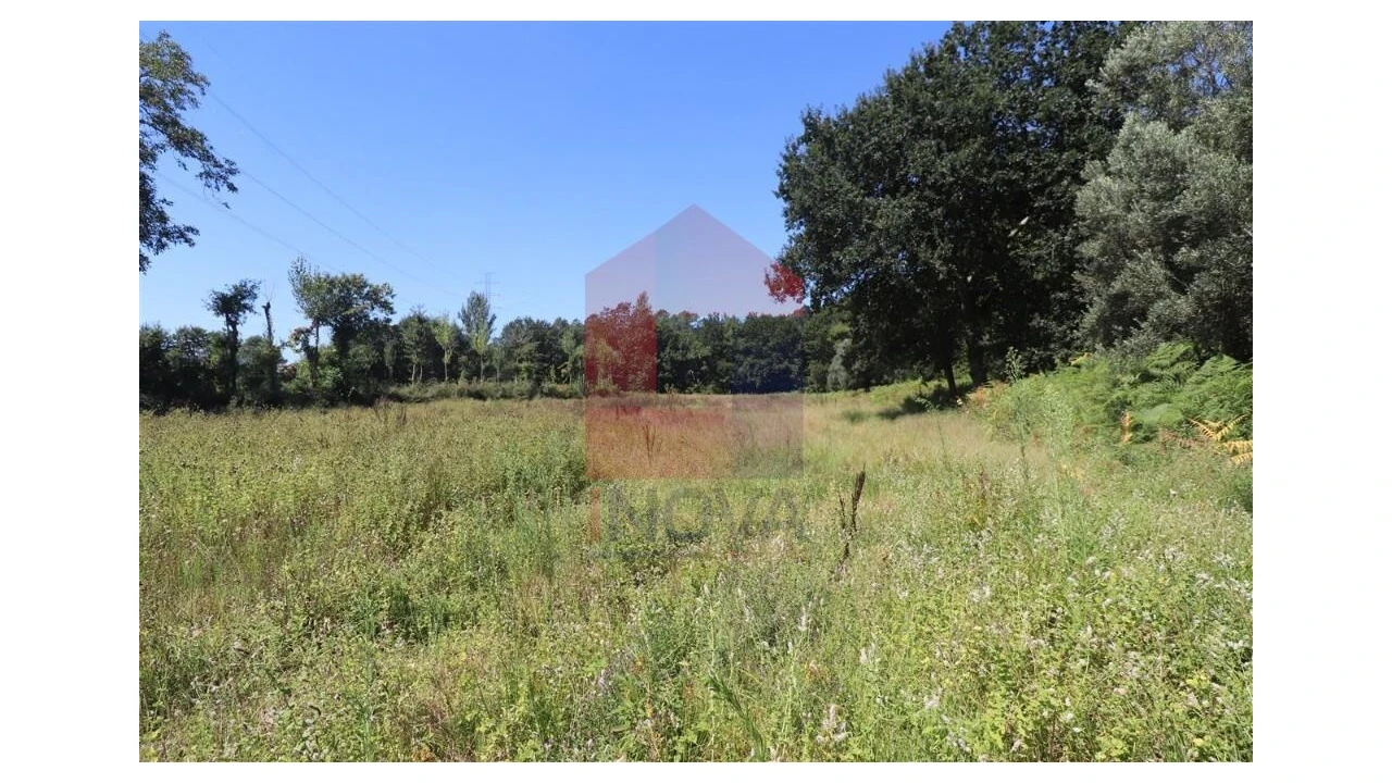 Terreno para Venda em Fiscal Foto 18