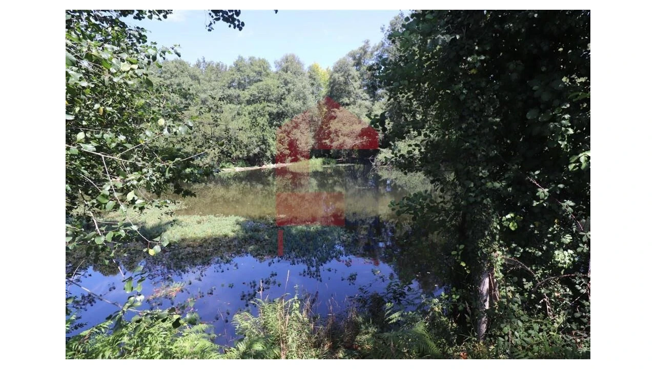 Terreno para Venda em Fiscal Foto 19