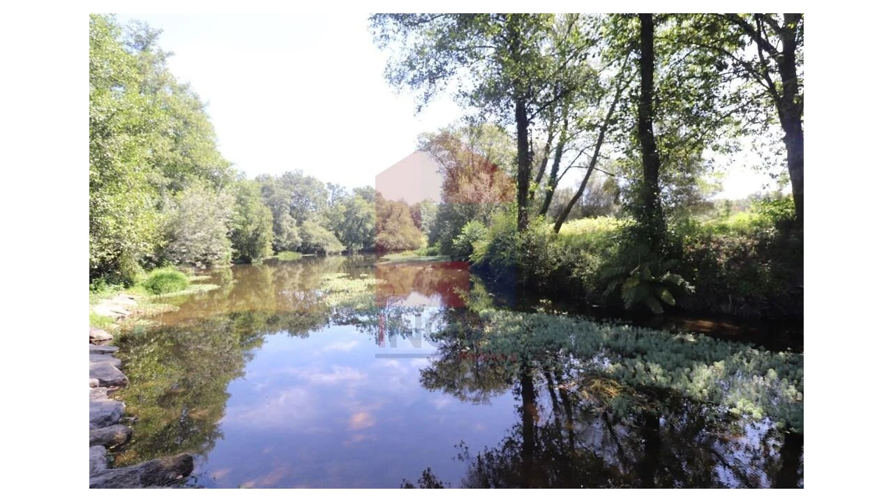 Terreno para Venda em Fiscal Foto 22