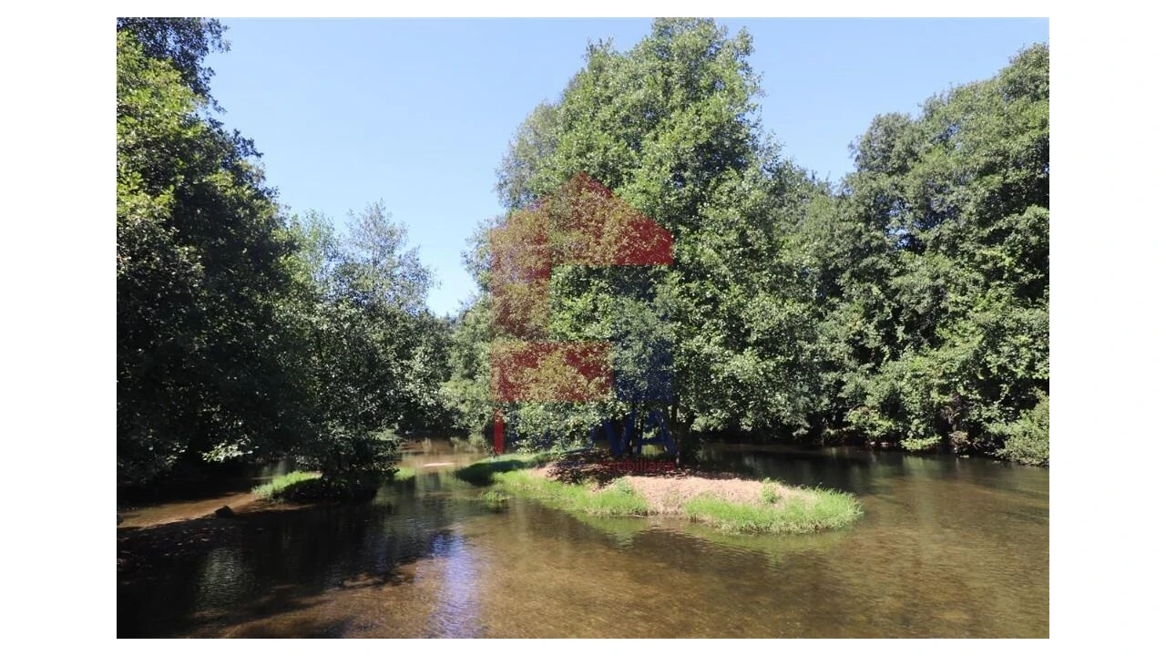 Terreno para Venda em Fiscal Foto 25