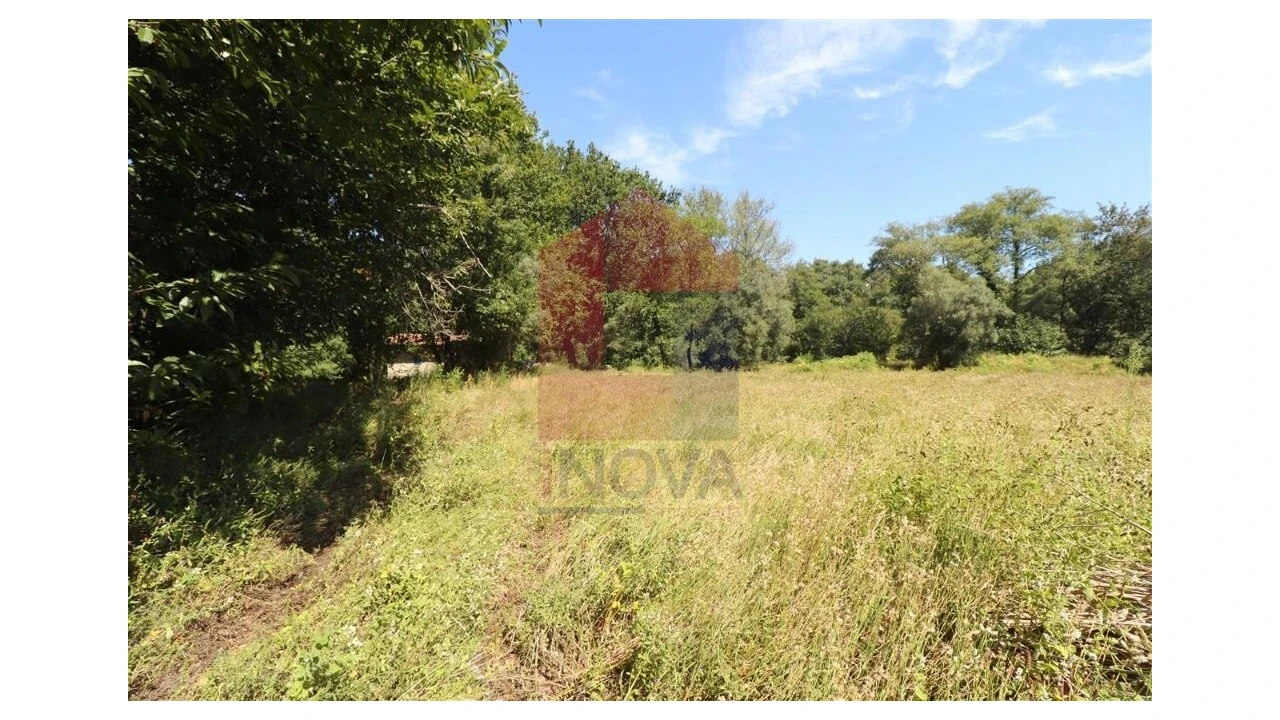 Terreno para Venda em Fiscal Foto 5