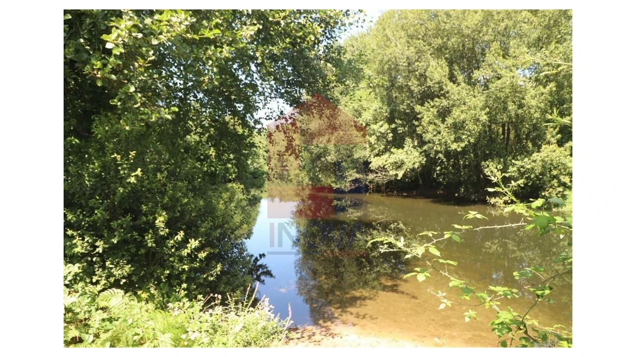 Terreno para Venda em Fiscal Foto 9