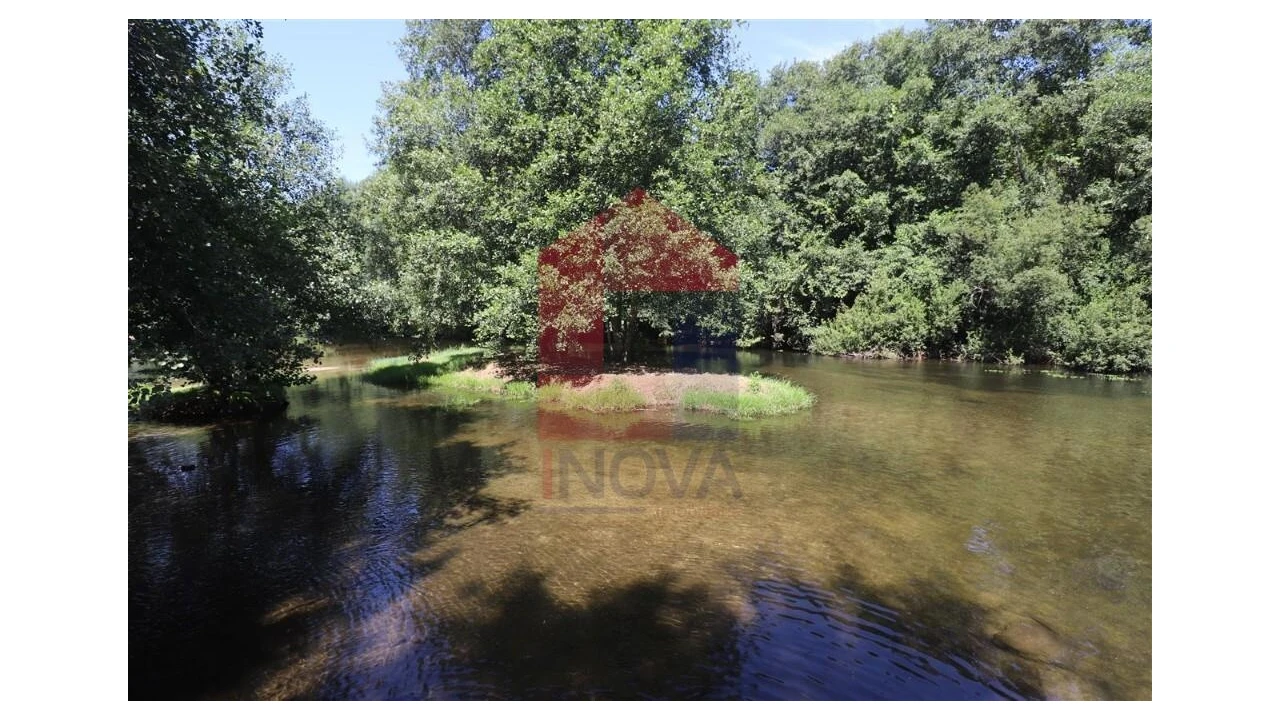 Terreno para Venda em Fiscal Foto 24