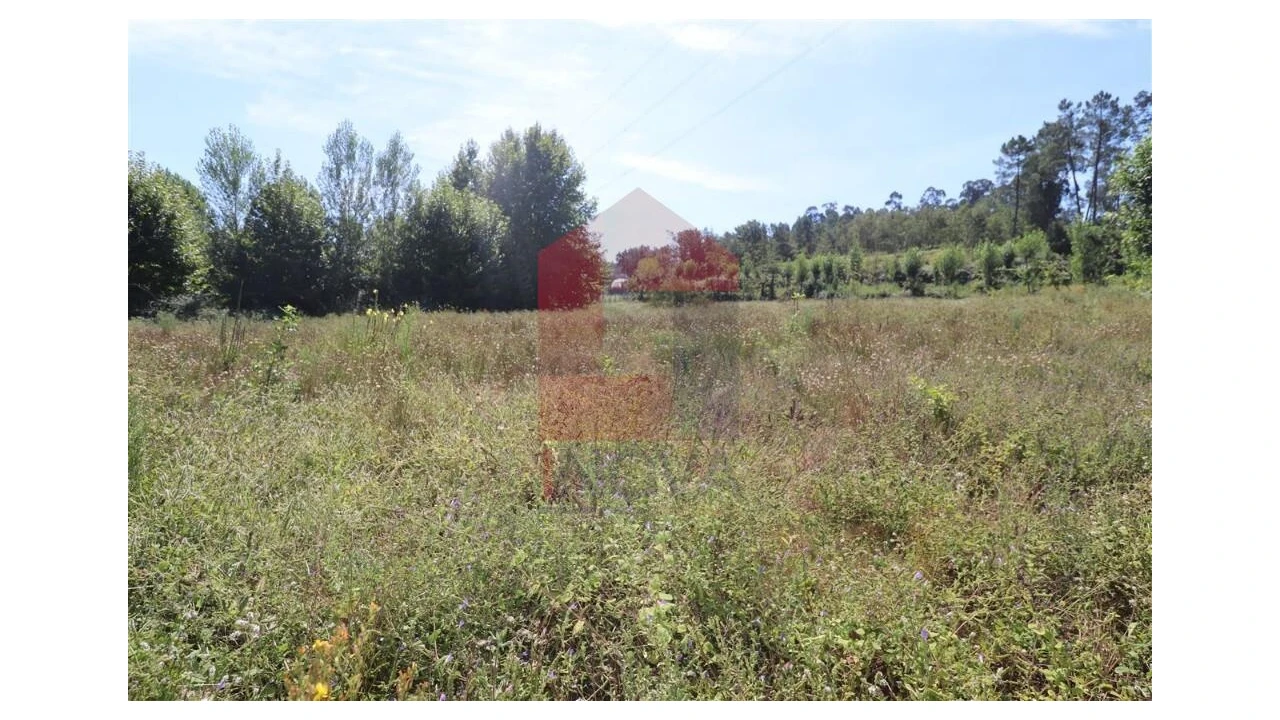 Terreno para Venda em Fiscal Foto 17