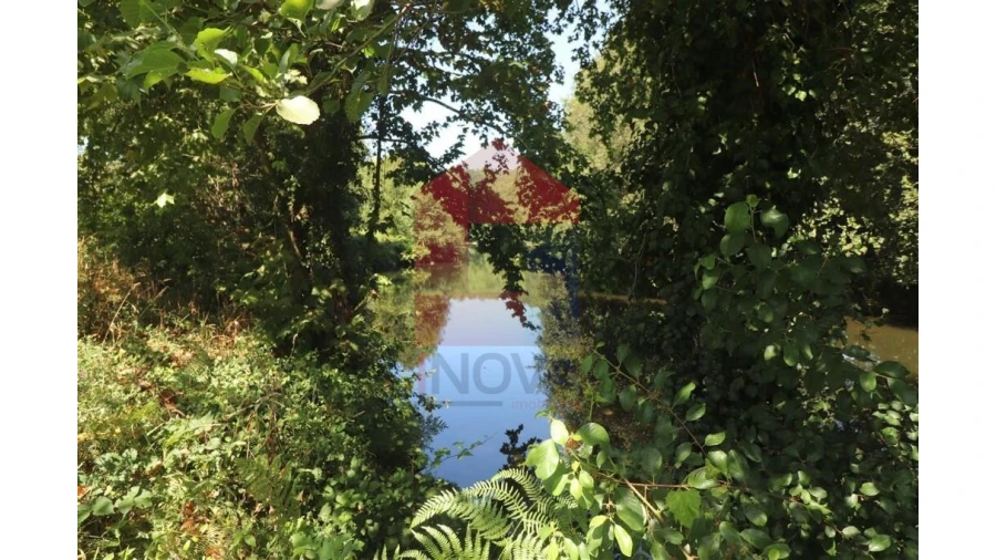 Terreno para Venda em Fiscal Foto 12