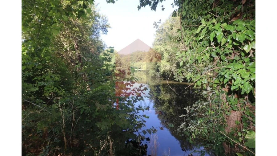 Terreno para Venda em Fiscal Foto 13