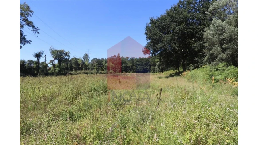 Terreno para Venda em Fiscal Foto 18