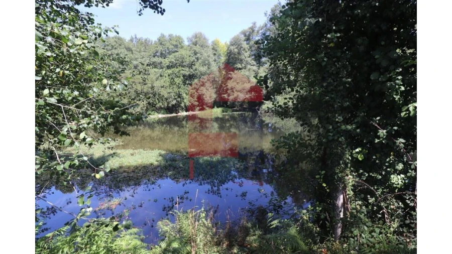 Terreno para Venda em Fiscal Foto 19