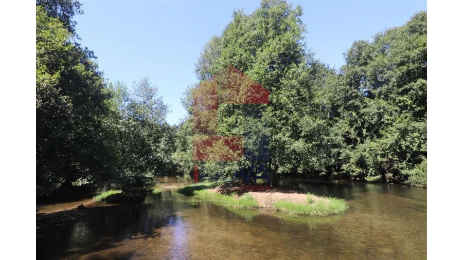 Terreno para Venda em Fiscal Foto 25