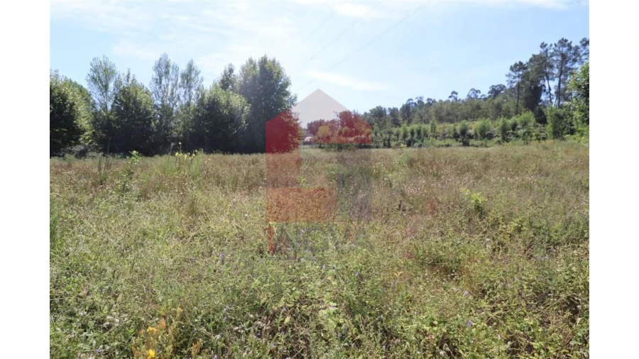 Terreno para Venda em Fiscal Foto 17