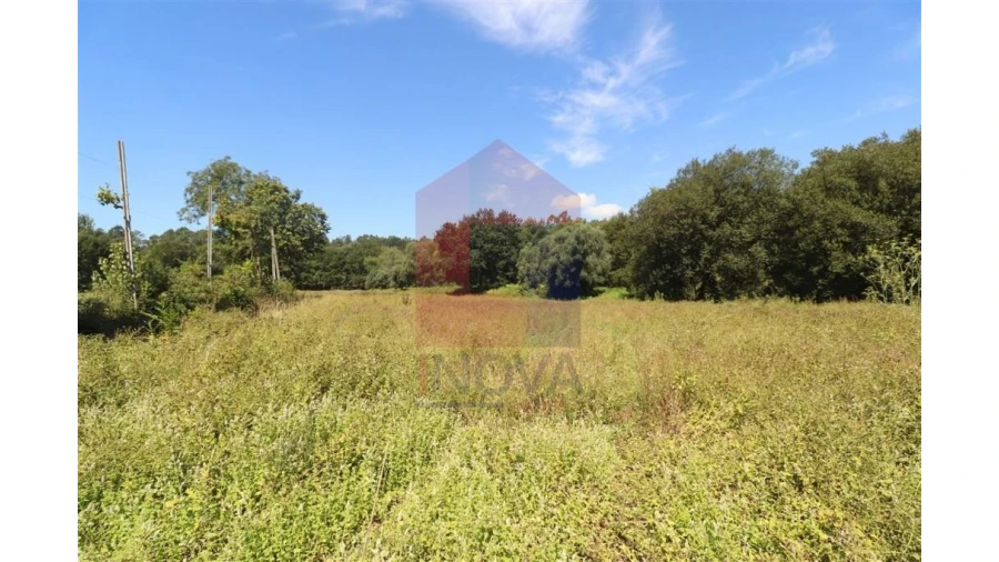 Terreno para Venda em Fiscal Foto 7