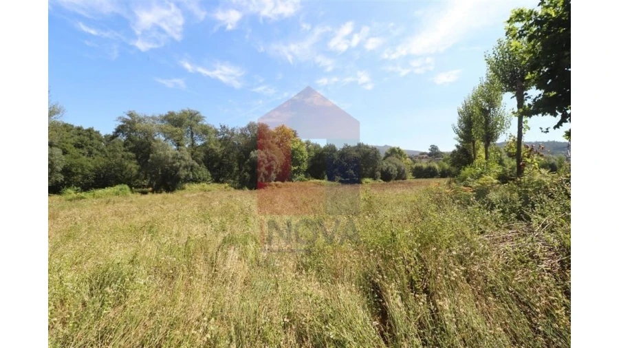 Terreno para Venda em Fiscal Foto 4