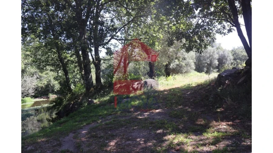 Terreno para Venda em Fiscal Foto 28