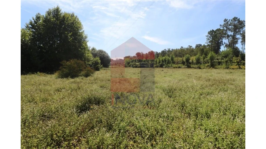 Terreno para Venda em Fiscal Foto 6