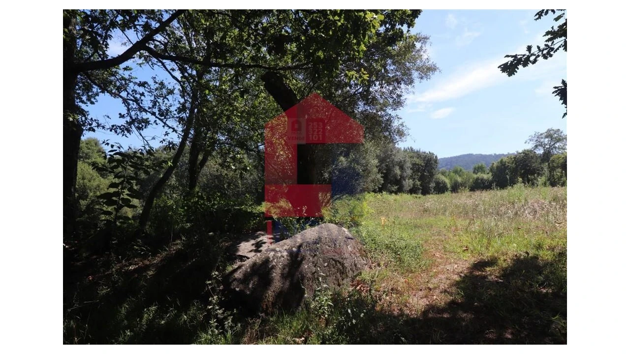 Terreno para Venda em Fiscal Foto 21