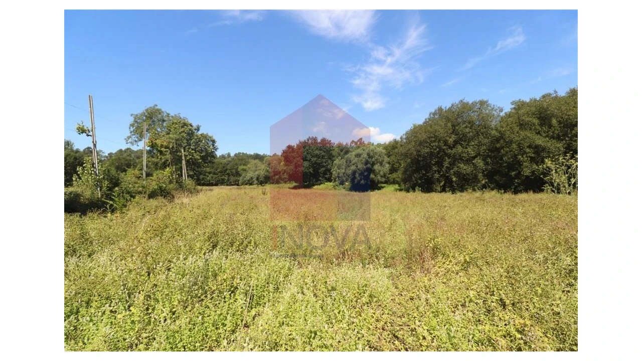 Terreno para Venda em Fiscal Foto 7