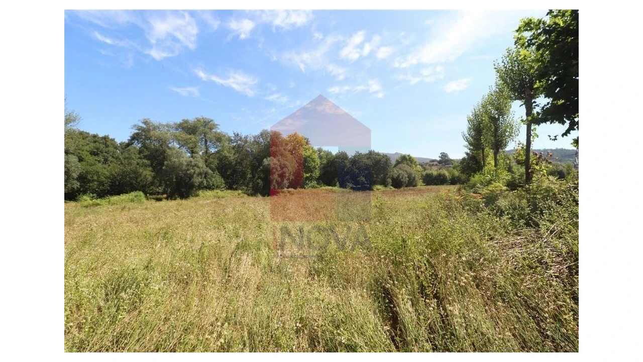 Terreno para Venda em Fiscal Foto 4