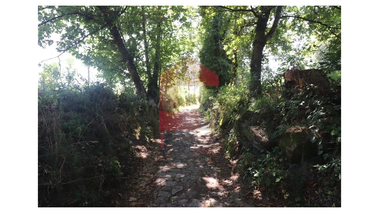 Terreno para Venda em Fiscal Foto 31