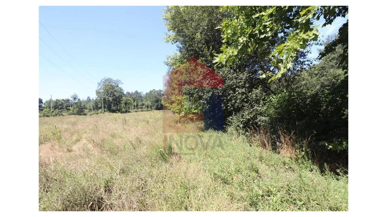 Terreno para Venda em Fiscal Foto 16